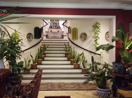 7 Potret Rumah Yuni Shara Bertema 'Jungle House', Penuh Tanaman Hias