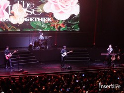 Lirik Lagu Insomnia - The Rose