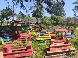 Ratusan Makam di Malang Dicat Pelangi, Ada Alasan Kuat di Baliknya