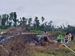 Buru Pemilik Kebun Terbakar di Rohil, Polisi Imbau Buka Lahan Tak Dibakar