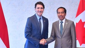 Jokowi Minta PM Kanada Trudeau Suntik RI Rp298 T: Bukan Bentuk Utang
