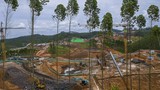 derap-pekerja-ibu-kota-nusantara_169 derap-pekerja-ibu-kota-nusantara_169
