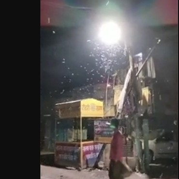 Viral 'Hujan' Cacing di India, Begini Penampakannya