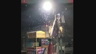 Viral 'Hujan' Cacing di India, Begini Penampakannya