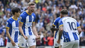 Tekuk Southampton 3-1, Brighton Ancam Liverpool