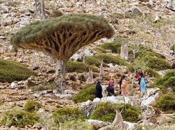 Berasa di Planet Lain, Padahal Tempat-tempat Aneh Ini Ada di Bumi