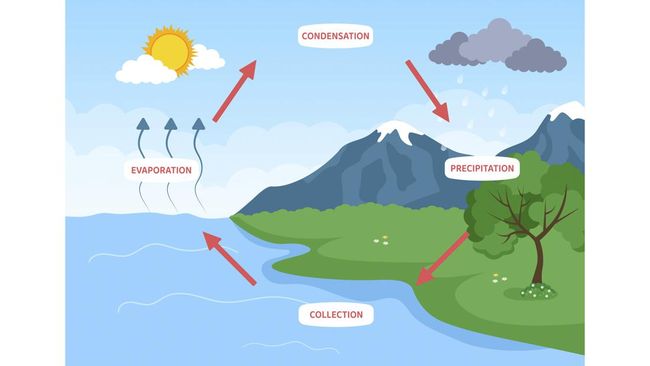 Hujan merupakan peristiwa jatuhnya butiran air dari awan di langit ke dataran. Namun, tahukah kamu bagaimana proses terjadinya hujan?