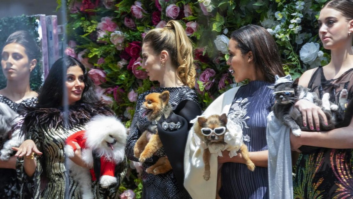 FOTO: Pet Gala Saingan Met Gala yang Jauh Menggemaskan