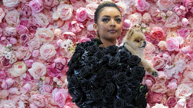 FOTO: Pet Gala Saingan Met Gala yang Jauh Menggemaskan
