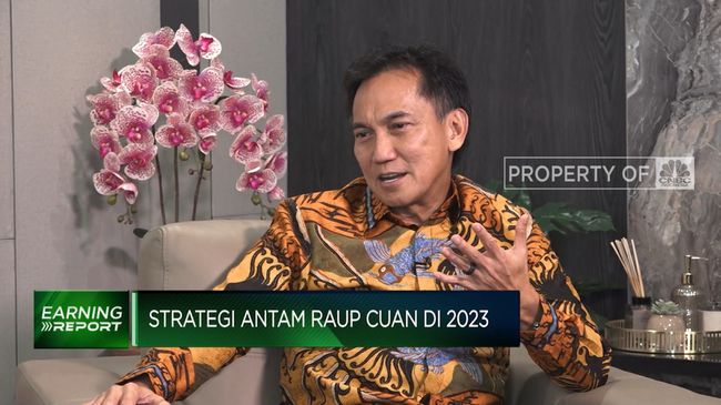 Bos Antam Buka-bukaan, Alasan China Jadi 'Raja' Hilirisasi RI