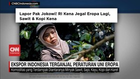 VIDEO: Ekspor Indonesia Terganjal Peraturan Uni Eropa