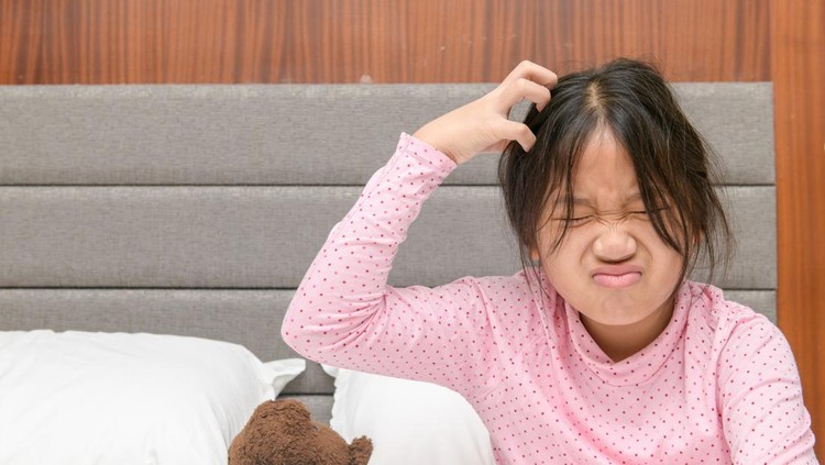 kutu rambut Obat kutu rambut