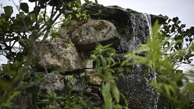 FOTO: Indahnya Taman Gulma di Chelsea Flower Show 2023