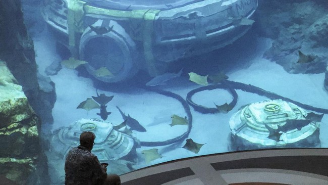FOTO: Sea World Abu Dhabi, Taman Hiburan Laut Tak Tertandingi di Dunia