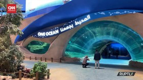 VIDEO: Melihat Penampakan SeaWorld Abu Dhabi di Pulau Yas