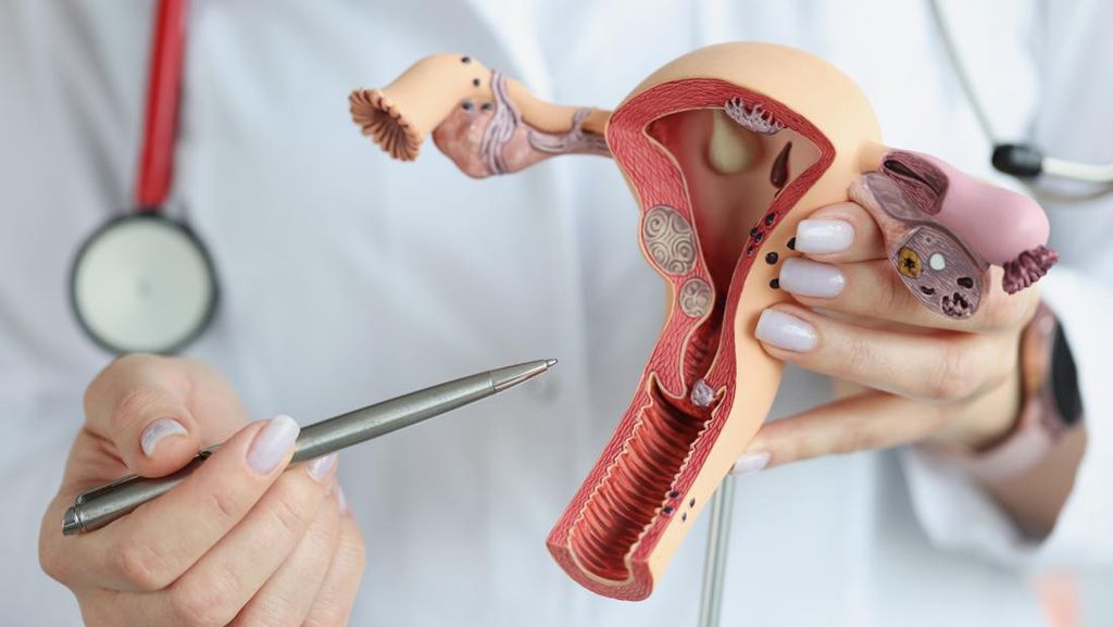 Vaksinasi HPV dalam Upaya Tekan Kanker Serviks