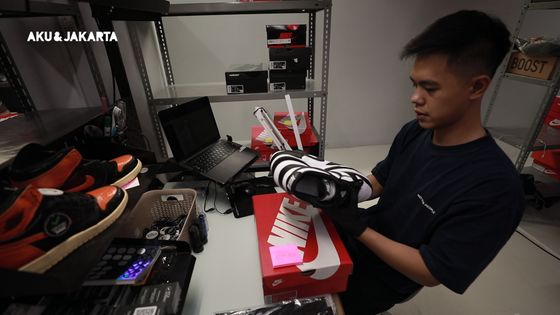 Joshua Sang <i>Legit Checker</i>, Penentu Asli-Palsu Sepatu