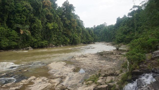 Kawasan Geopark Merangin di Jambi mengandung fosil dan situs yang berusia ratusan juta tahun dan memenuhi syarat jadi UNESCO Global Geopark.