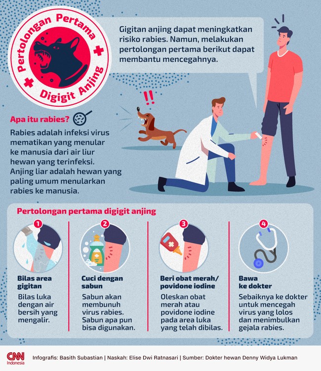 Gigitan anjing dapat meningkatkan risiko rabies. Namun, melakukan pertolongan pertama berikut dapat membantu mencegahnya.