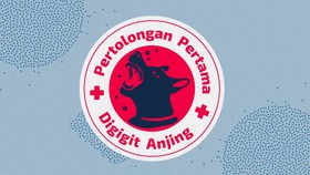 INFOGRAFIS: Pertolongan Pertama Digigit Anjing, Cegah Rabies