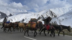 FOTO: Kashmir, 