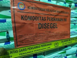 KKP Segel 9,7 Ton Ikan Salem Impor Tak Sesuai Peruntukan di Kalbar
