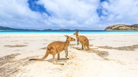 Daftar 50 Pantai Terbaik Dunia 2023, Termasuk 2 dari Indonesia