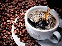 4 Jenis Kopi yang Populer Dikonsumsi, Mana yang Paling Enak?