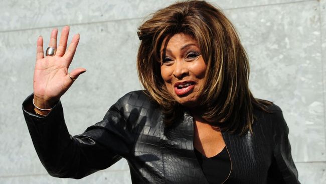 Tina Turner khawatir anaknya akan mewarisi sifat bapaknya yang tukang pukul istri selama menikah dengan diva rock n roll tersebut.