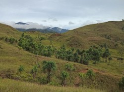 Menjaga Tanah Adat Tersisa di Bukit Khambu