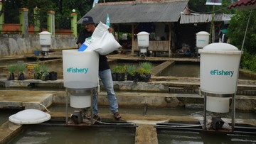 eFishery PHK Karyawan Buntut Penyesuaian Struktur Organisasi