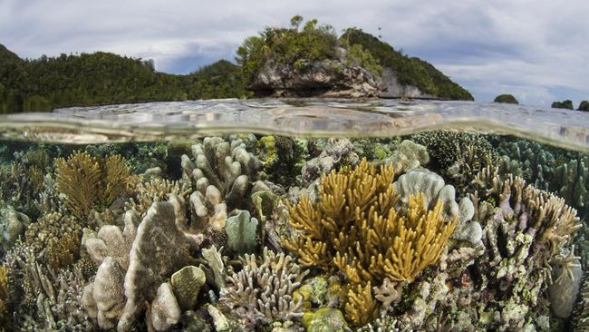 Indonesia urutan ke-8 destinasi terindah dunia 2025 versi CN Traveler, kalahkan Thailand, bersanding dengan Australia dan Brasil.
