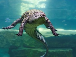 Legenda Ratusan Tentara Jepang Lenyap di Pulau Buaya