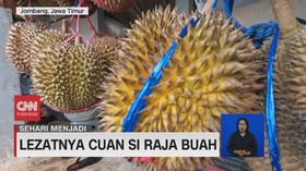VIDEO: Sehari Menjadi Pembudidaya Buah Durian