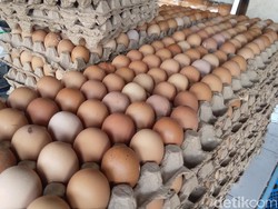 Harga Sembako Jogja Hari Ini 8 Mei 2024: Telur dan Daging Ayam Naik Tipis