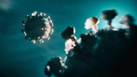 Disebut Bisa Picu Pandemi yang Lebih Fatal, Apa Itu Disease X?