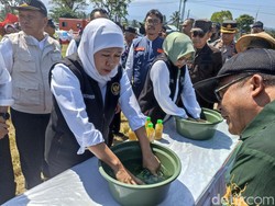 Gubernur Khofifah Dorong Petani di Jatim Gunakan Biosaka