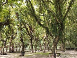 7 Rekomendasi Wisata Blitar untuk Kencan Romantis Bareng Pacar