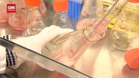 VIDEO: AI Bantu Peneliti AS Temukan Antibiotik Pembunuh Superbug