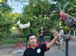 Wow, Ayam Lady Gaga di Bali Harganya Capai Ratusan Juta