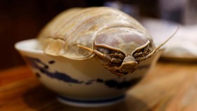 FOTO: Kala Isopoda Raksasa Penuhi Semangkuk Ramen di Taipei