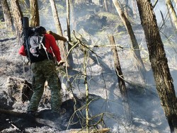 Kebakaran Lereng Welirang Mojokerto Padam, Luas Vegetasi Terbakar 38 Ha