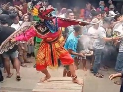 Pesta Khitan 3 Kucing Banyuwangi Sampai Sewa Elekton hingga Jaranan