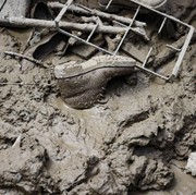 Banjir di Utara Italia yang Memakan Korban Jiwa Disebut Terparah dalam 100 Tahun, Akibat Krisis Iklim?