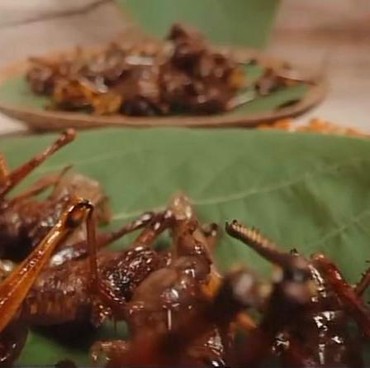 Daftar 20 Makanan Unik di Dunia yang Bikin Penasaran, Ada Tikus Panggang