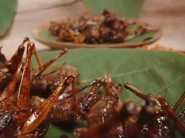 Daftar 20 Makanan Unik di Dunia yang Bikin Penasaran, Ada Tikus Panggang