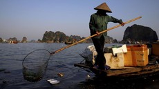 FOTO: Ha Long Bay Vietnam, Warisan Dunia UNESCO Terusik Sampah Plastik
