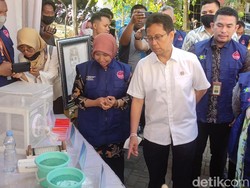 Tekan DBD, Kemenkes Sebar Nyamuk Wolbachia di Kota Semarang