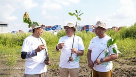 Pelindo Petikemas Hijaukan Area Pelabuhan Lewat Penanaman Mangrove