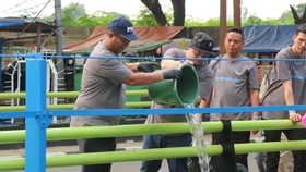 PNM Melakukan Mitigasi Banjir dengan Revitalisasi Kali
